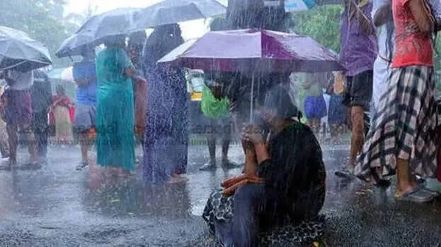 rain