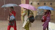 rain