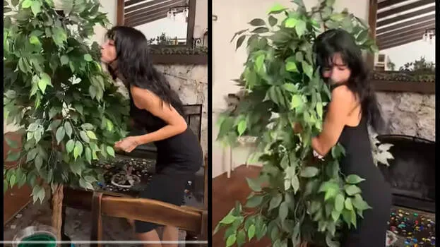 tree-dating