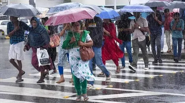rain