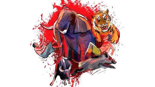 wildlife-attack