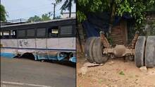bus