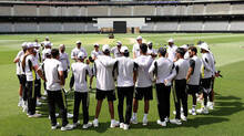 cricket