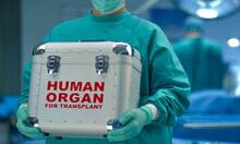 organ-donation