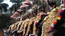 elephant-parading