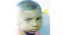 coconut-tree-falls-on-boy