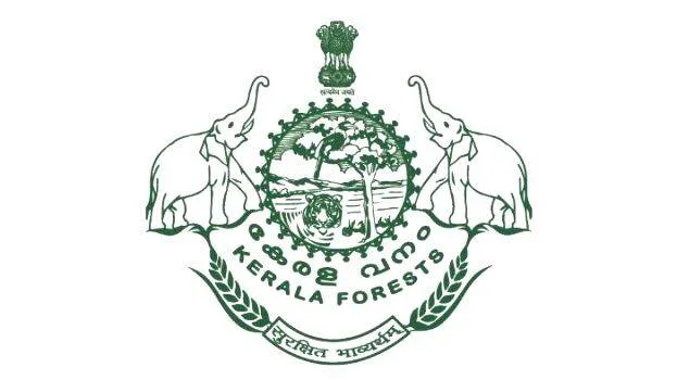 forest-