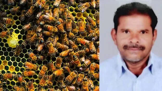satyaraj