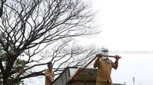 heat-wave-kerala-