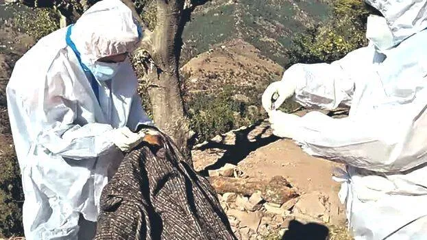 rajouri-deaths