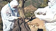 rajouri-deaths
