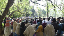 forest-department