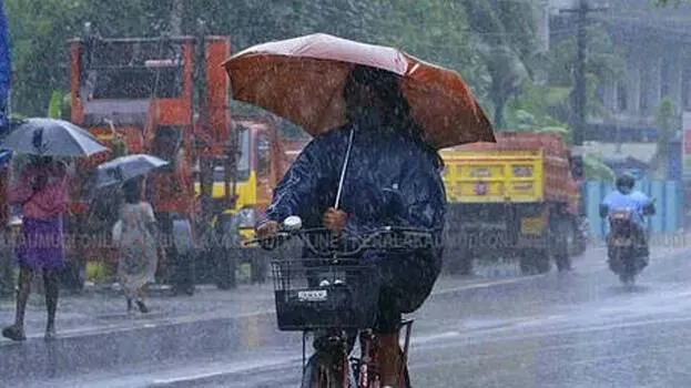 rain