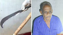 chenthamara-