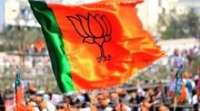 bjp-flag