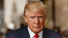 trump-