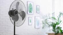 fan