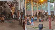 kozhikode-temple-elephant