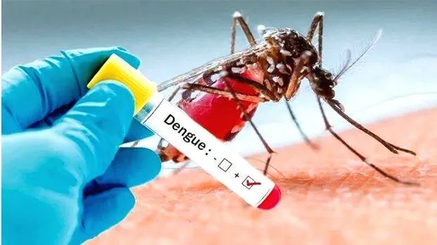 dengi