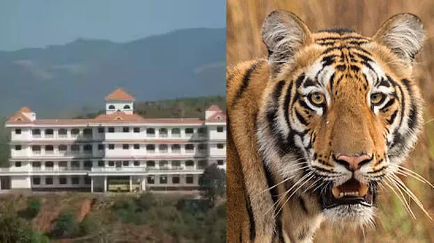 kalpetta-college-wayanad