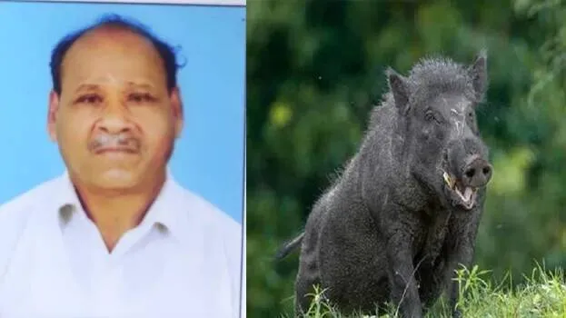 sreedharan