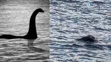 lochness