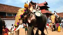 temple-elephant