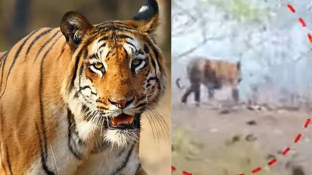 karuvarakundu