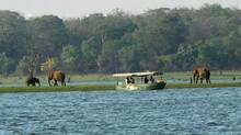 wayanad-pulpally-kerala-k