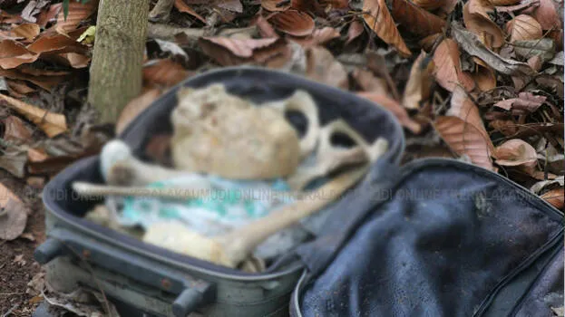 skeletal-remains-found-ne