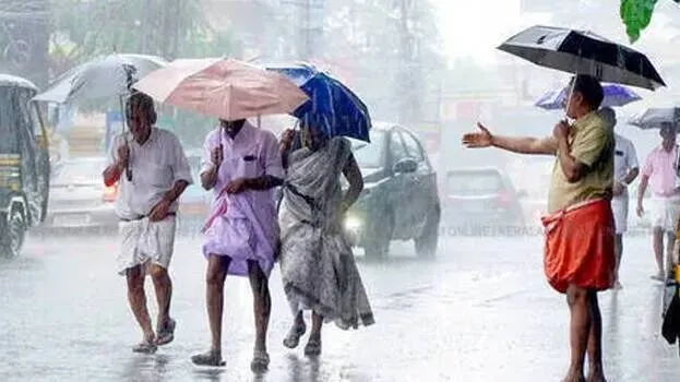 rain