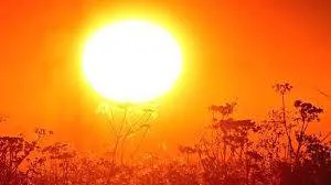 temperature