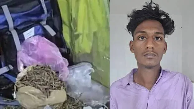 anuraj