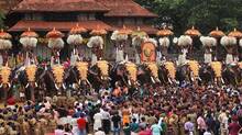parading-of-elephants