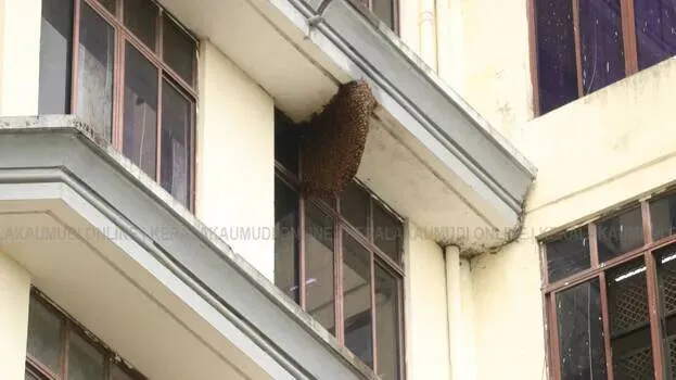 bee-hive.1.3189045.webp