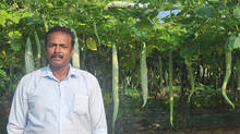 sivadasan-