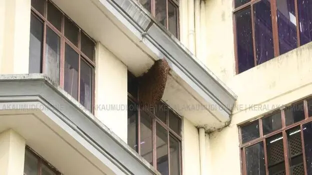 beehive