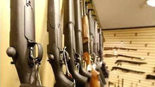 gun