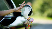 littering-