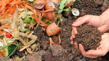 fertilizer