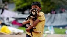 online-pet-market
