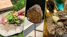 elephant-dung