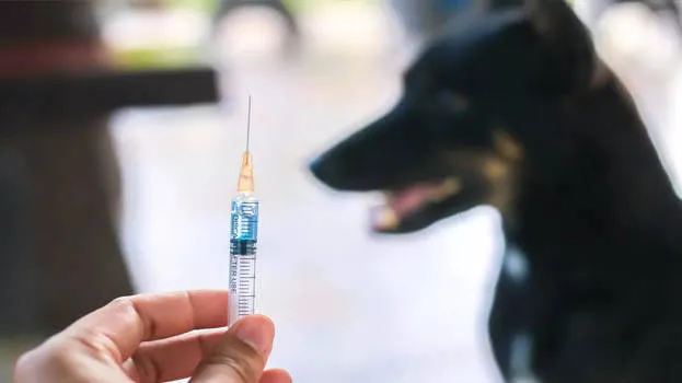 anti-rabies-vaccine
