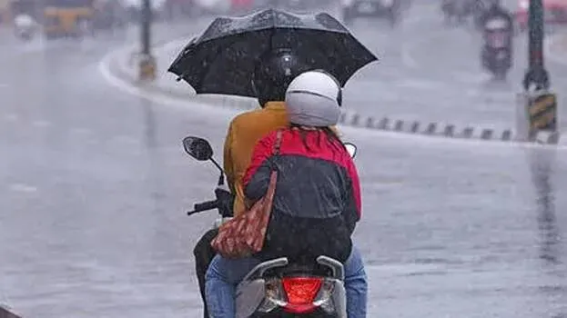 rain