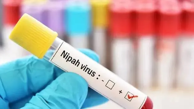 nipah