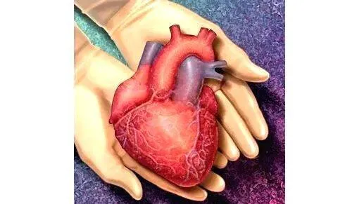 organ-donation