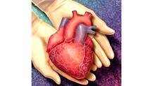 organ-donation