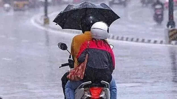 rain