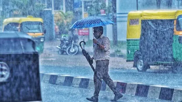 rain