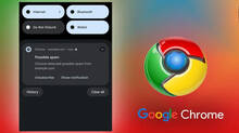 google-nano